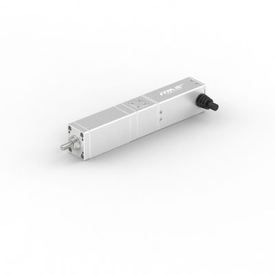 Η σειρά RobustMotion RM-SLA High Precision Straight Electric Linear Actuator with Servo Motor,50/100mm Stroke, IP40